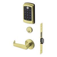 Yale nexTouch Mortise Lock Z-Wave Plus v2 Touchscreen Cylinder Override with Thumbturn, Augusta Lever, Polished Brass